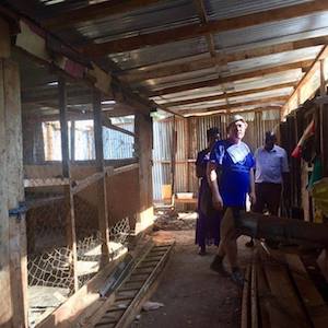 newly extended chicken sheds